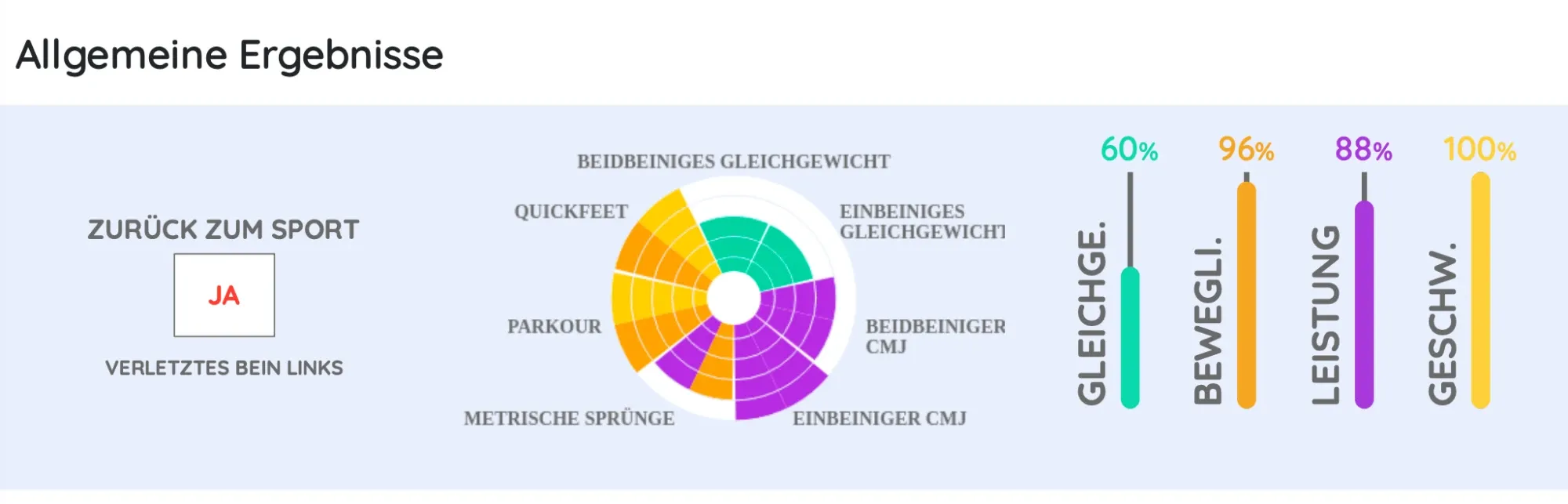 Ergebnis Return to Sport, verletztes Bein links: Zurück zum Sport – Ja. Gleichgewicht 60, Beweglichkeit 96, Leistung 88, Geschwindigkeit 100 Prozent